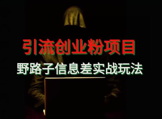 【引流创业粉】野路子信息差玩法实战教学-情久项目网