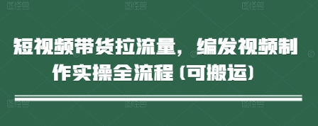 短视频带货拉流量，编发视频制作实操全流程(可搬运)-情久项目网