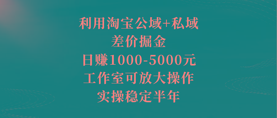 利用淘宝公域+私域差价掘金，日赚1000-5000元，工作室可放大操作，实操…-情久项目网