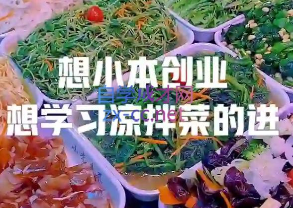 李记·精品凉拌菜系列热卤系列教程-情久项目网
