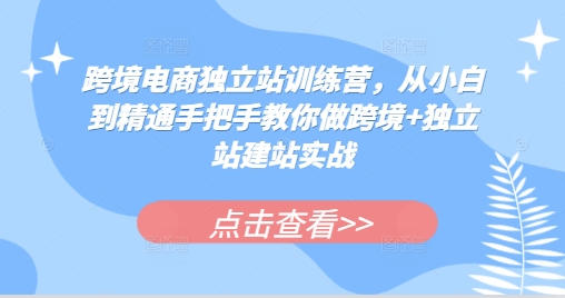 跨境电商独立站训练营，从小白到精通手把手教你做跨境+独立站建站实战-情久项目网