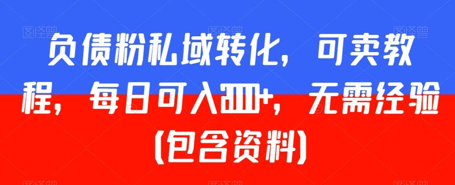 负债粉私域转化，可卖教程，每日可入2000+，无需经验（包含资料）【揭秘】-情久项目网