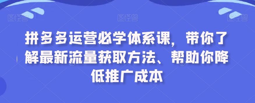 拼多多运营必学体系课，带你了解最新流量获取方法、帮助你降低推广成本-情久项目网