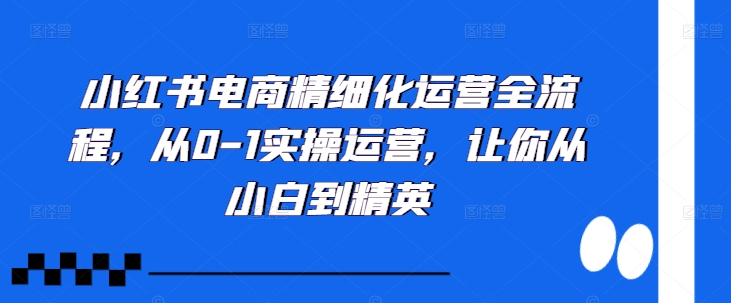 小红书电商精细化运营全流程，从0-1实操运营，让你从小白到精英-情久项目网