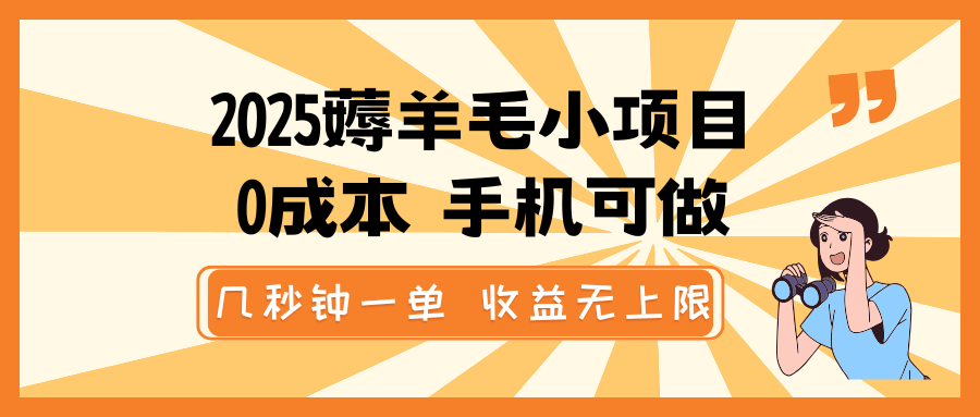 2025薅羊毛小项目，0成本 手机可做，几秒钟一单，收益无上限-情久项目网