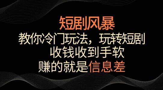 短剧风暴，教你冷门玩法，玩转短剧，收钱收到手软【揭秘】-情久项目网