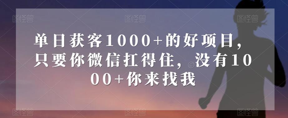 单日获客1000+的好项目，只要你微信扛得住，没有1000+你来找我【揭秘】-情久项目网