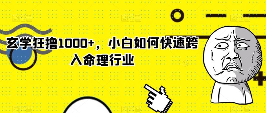 玄学狂撸1000+，小白如何快速跨入命理行业-情久项目网