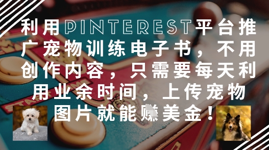 利用Pinterest平台推广宠物训练电子书，不用创作内容，只需要每天利用业余时间，上传宠物图片就能挣美金!-情久项目网