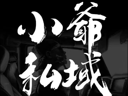 小爷·私域项目操盘手-情久项目网