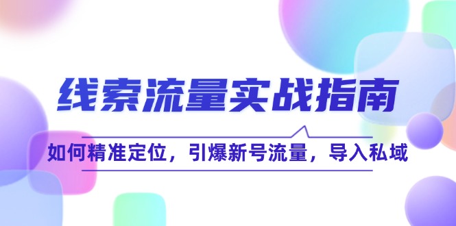 线 索 流 量-实战指南：如何精准定位，引爆新号流量，导入私域-情久项目网