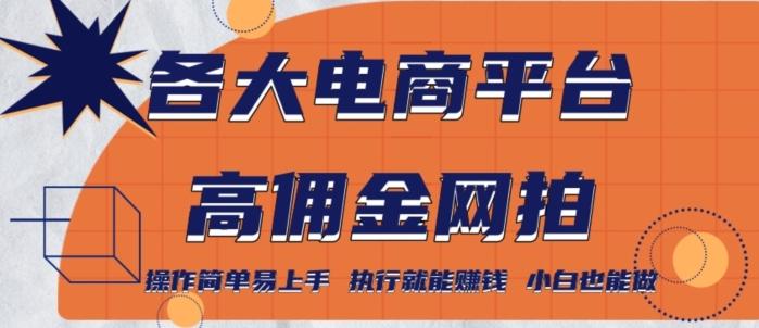 各大电商平台高佣金网拍，操作简单易上手，执行就能赚钱，小白也能做-情久项目网