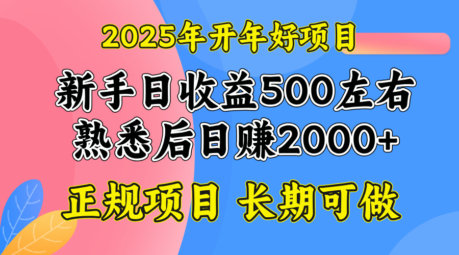 2025开年好项目，单号日收益2000左右-情久项目网
