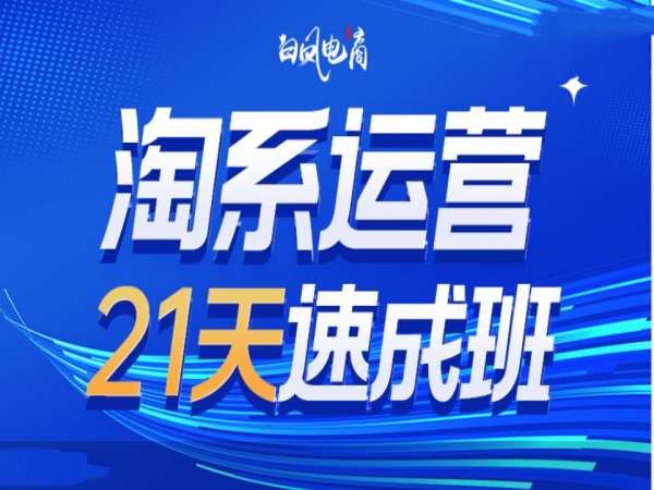 淘系运营21天速成班35期，年前最后一波和2025方向-情久项目网