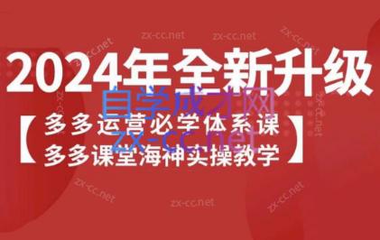 海神老师·拼多多运营必学体系课-情久项目网