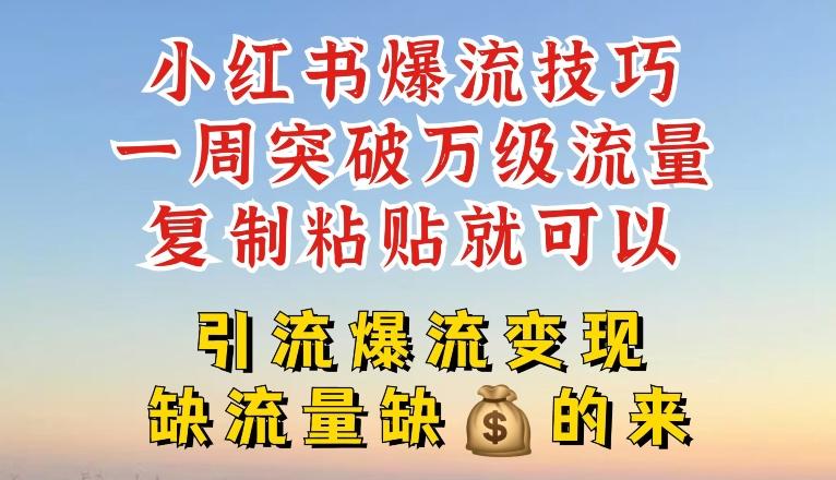 小红书爆流技巧，一周突破万级流量，复制粘贴就可以，引流爆流变现【揭秘】-情久项目网