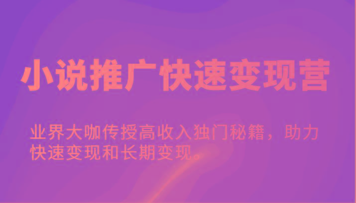 小说推广快速变现营-业界大咖传授高收入独门秘籍，助力快速变现和长期变现。-情久项目网