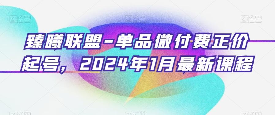 臻曦联盟-单品微付费正价起号，2024年1月最新课程-情久项目网