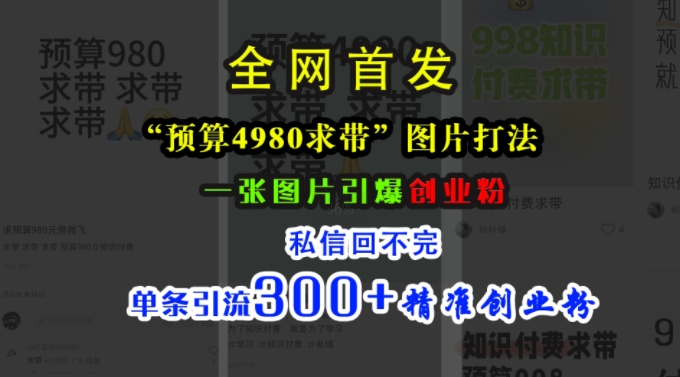 小红书“预算4980带我飞”图片打法，一张图片引爆创业粉，私信回不完，单条引流300+精准创业粉-情久项目网
