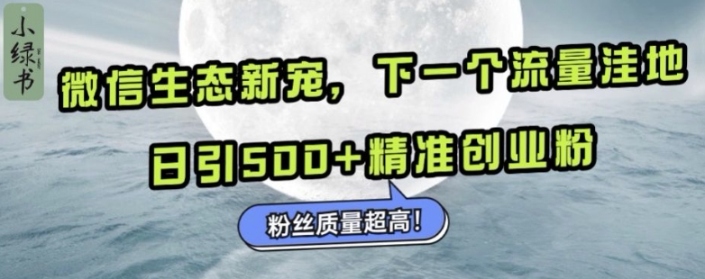 微信生态新宠小绿书：下一个流量洼地，日引500+精准创业粉，粉丝质量超高-情久项目网