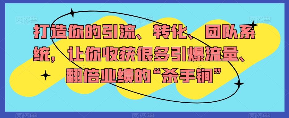 打造你的引流、转化、团队系统，让你收获很多引爆流量、翻倍业绩的“杀手锏”-情久项目网
