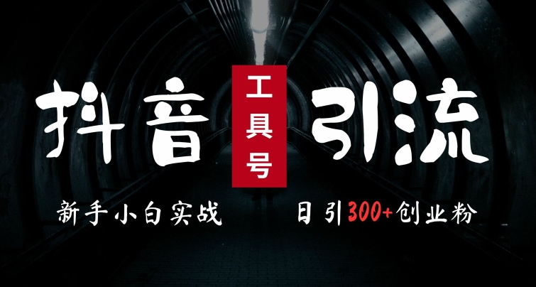 2024最新抖音工具号引流玩法，高效日引300+创业粉，当天变现5k，小白也可成为实战高手-情久项目网