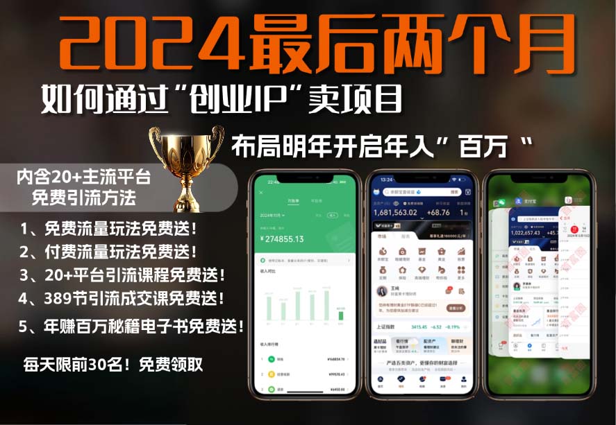 2024最后两个月如何通过”创业IP“卖项目年入”百万“,创业IP+最强引流…-情久项目网