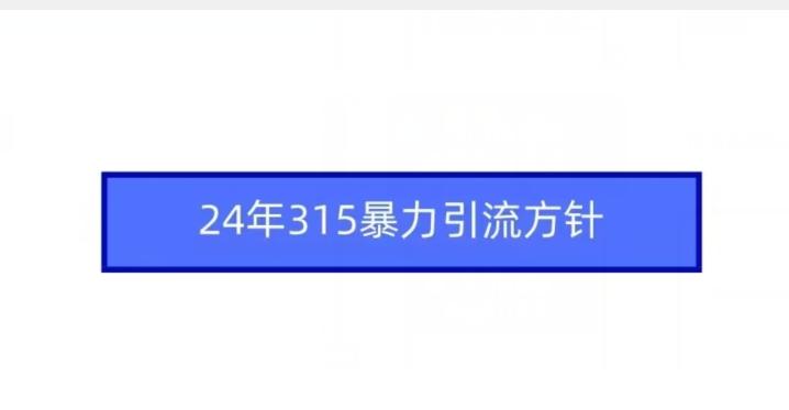 24年315暴力引流方针-情久项目网