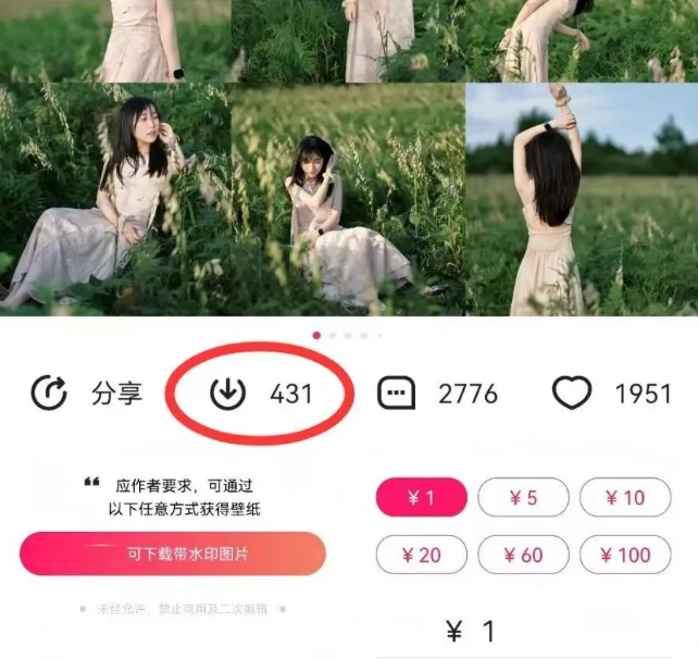 最新图虫搬运项目，收益无上限，利用AI小白也可日赚500+-情久项目网