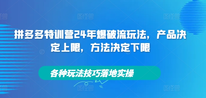 拼多多特训营24年爆破流玩法，产品决定上限，方法决定下限，各种玩法技巧落地实操-情久项目网