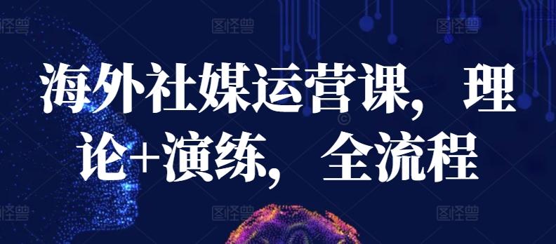 海外社媒运营课，理论+演练，全流程-情久项目网