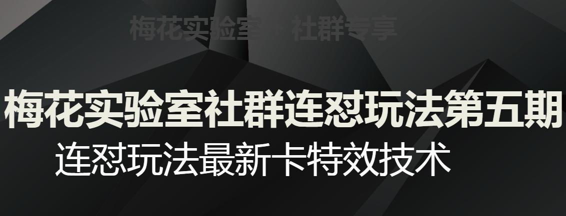梅花实验室社群连怼玩法第五期，视频号连怼玩法最新卡特效技术-情久项目网