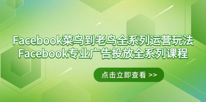 Facebook-菜鸟到老鸟全系列运营玩法+Facebook-专业广告投放全系列课程-情久项目网