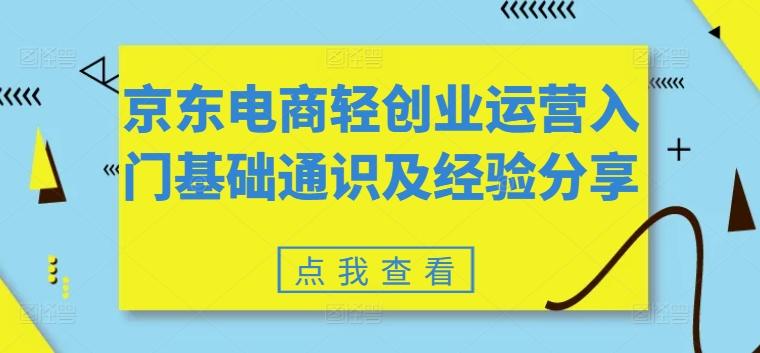 京东电商轻创业运营入门基础通识及经验分享-情久项目网