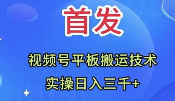 全网首发：视频号平板搬运技术，实操日入三千＋-情久项目网