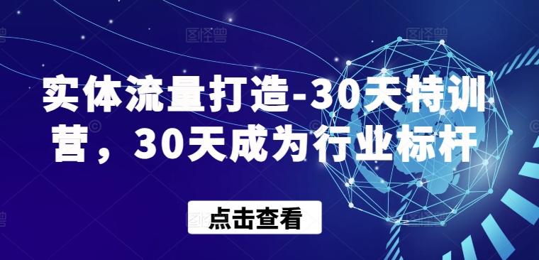 实体流量打造-30天特训营，30天成为行业标杆-情久项目网