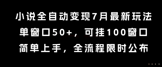 小说全自动变现7月玩法，单窗口50+，可挂100窗口，简单上手，全流程限时公布【揭秘】-情久项目网