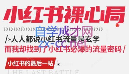 月月老师·小红书低粉高变现课-情久项目网