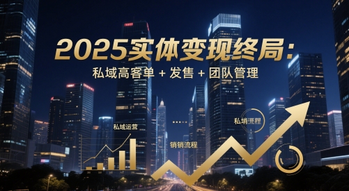 2025实体变现终局：私域高客单+发售+团队管理-情久项目网