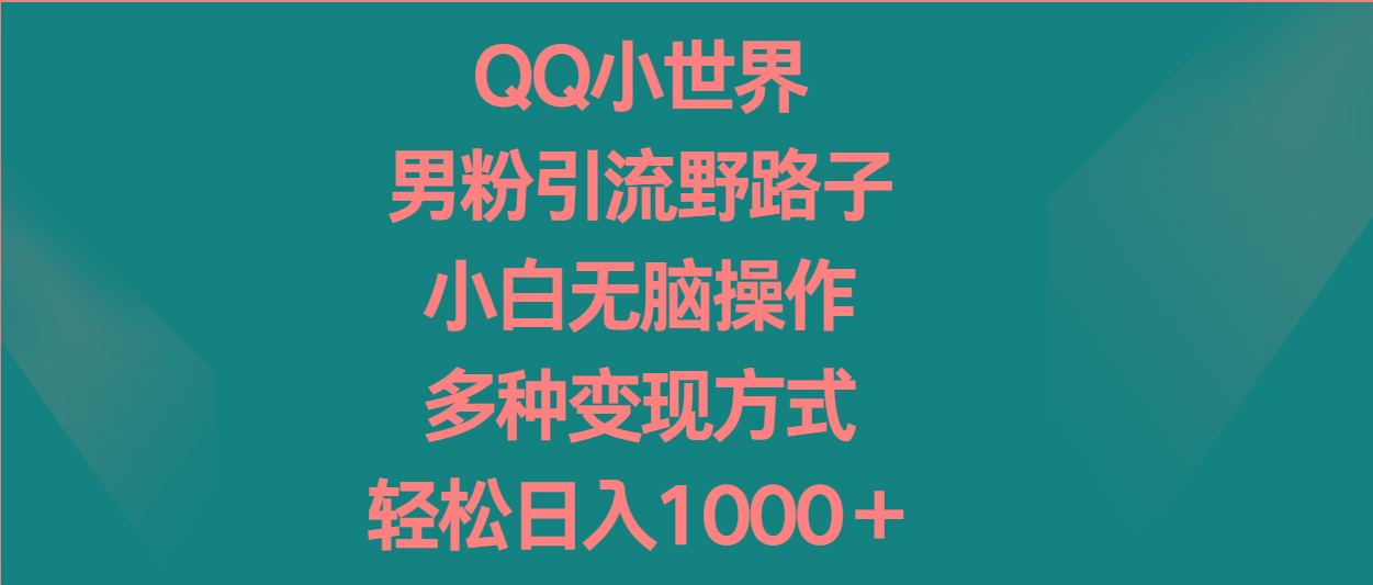 QQ小世界男粉引流野路子，小白无脑操作，多种变现方式轻松日入1000＋-情久项目网