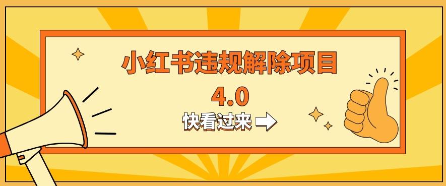 小红书违规掘金蓝海项目，日入800+（附带引流办法及解除办法）-情久项目网