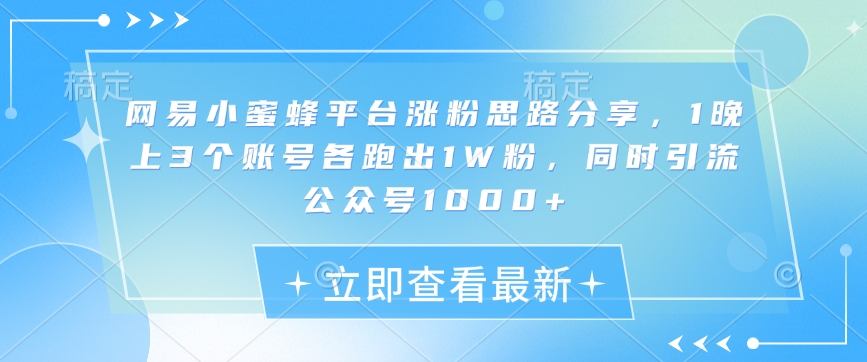 网易小蜜蜂平台涨粉思路分享，1晚上3个账号各跑出1W粉，同时引流公众号1000+-情久项目网