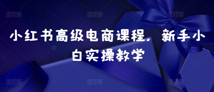 小红书高级电商课程，新手小白实操教学-情久项目网