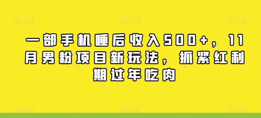 一部手机睡后收入500+，11月男粉项目新玩法，抓紧红利期过年吃肉-情久项目网