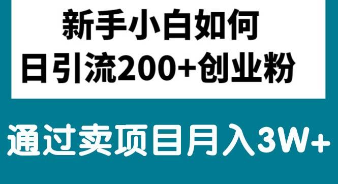 新手小白日引流200+创业粉,通过卖项目月入3W+-情久项目网