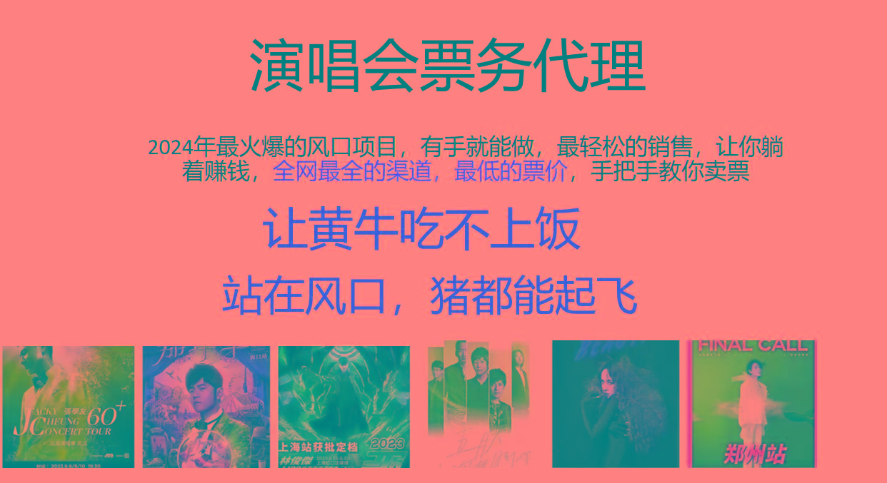 2024年最火爆风口项目，演唱会票务代理，日入2000+，一部手机就能搞定！-情久项目网
