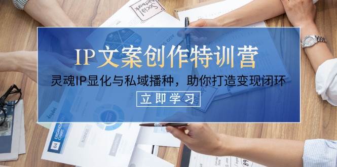 IP文案创作特训营，灵魂IP显化与私域播种，助你打造变现闭环(14节课)-情久项目网