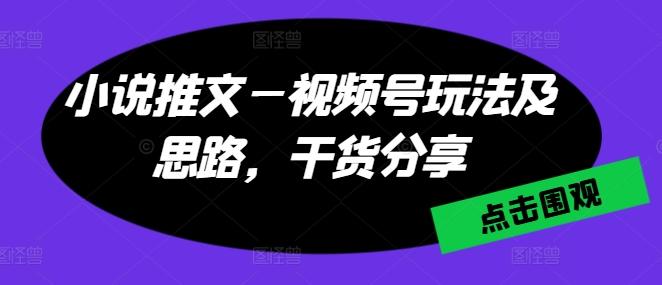 小说推文—视频号玩法及思路，干货分享-情久项目网