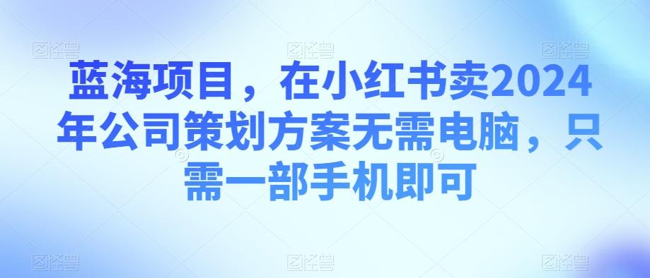 蓝海项目，在小红书卖2024年公司策划方案无需电脑，只需一部手机即可-情久项目网