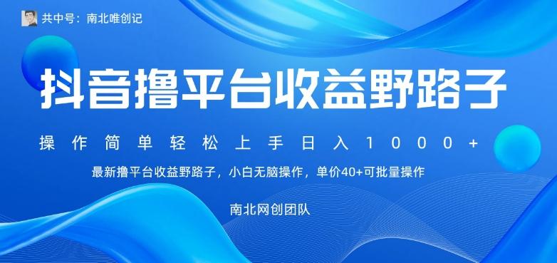 最新撸抖音平台收益野路子，操作简单，单价高，小白可无脑操作可日入1000+-情久项目网